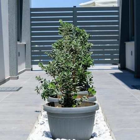 Katakis Luxuryvillas 干尼亞 外观 照片